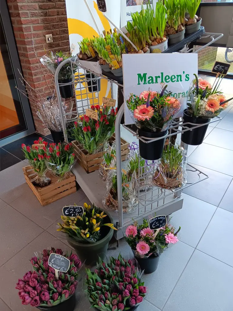 Marleen groendecoratie